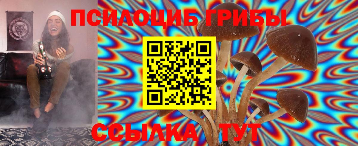 Псилоцибиновые грибы прущие грибы Моздок