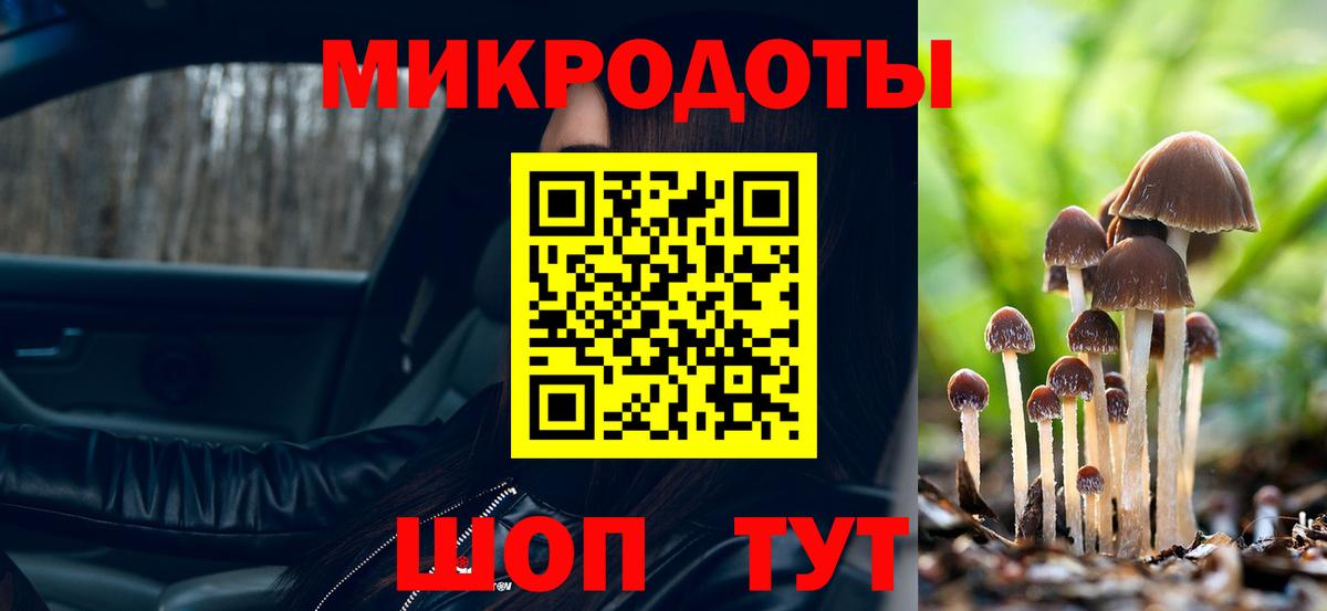 Моздок  Галлюциногенные грибы прущие грибы  Вход с VPN 